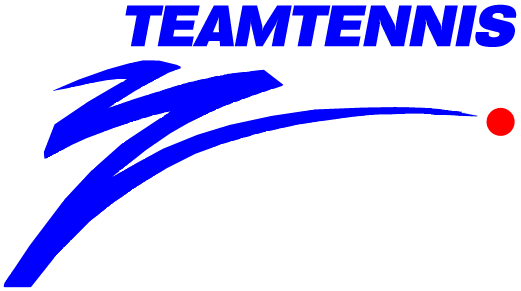 World TeamTennis 1991 Primary Logo iron on paper